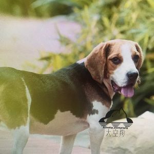 Meet your Posher, Kendall